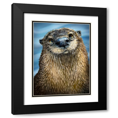 River Otter Black Modern Wood Framed Art Print with Double Matting by LaMontagne, Patrick