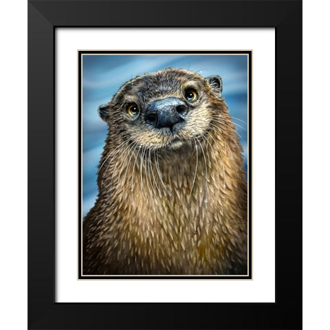 River Otter Black Modern Wood Framed Art Print with Double Matting by LaMontagne, Patrick