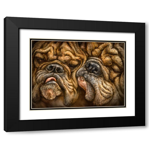 Wrinkles Black Modern Wood Framed Art Print with Double Matting by LaMontagne, Patrick