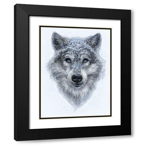 Winter Wolf Black Modern Wood Framed Art Print with Double Matting by LaMontagne, Patrick