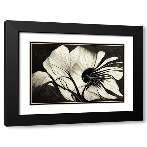 B037 Flowers Black White Black Modern Wood Framed Art Print with Double Matting by Heere, Ray