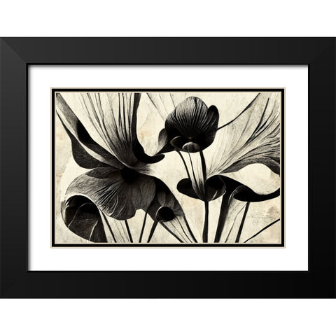 B048 Flowers Black White Black Modern Wood Framed Art Print with Double Matting by Heere, Ray
