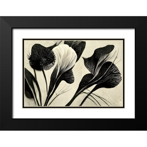 B053 Flowers Black White Black Modern Wood Framed Art Print with Double Matting by Heere, Ray