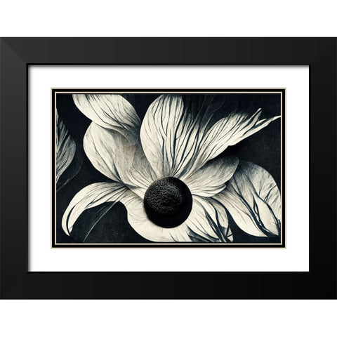 B059 Flowers Black White Black Modern Wood Framed Art Print with Double Matting by Heere, Ray