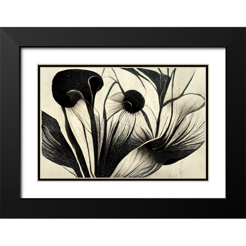 B062 Flowers Black White Black Modern Wood Framed Art Print with Double Matting by Heere, Ray