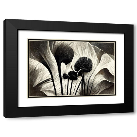B064 Flowers Black White Black Modern Wood Framed Art Print with Double Matting by Heere, Ray