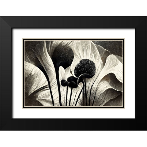B064 Flowers Black White Black Modern Wood Framed Art Print with Double Matting by Heere, Ray