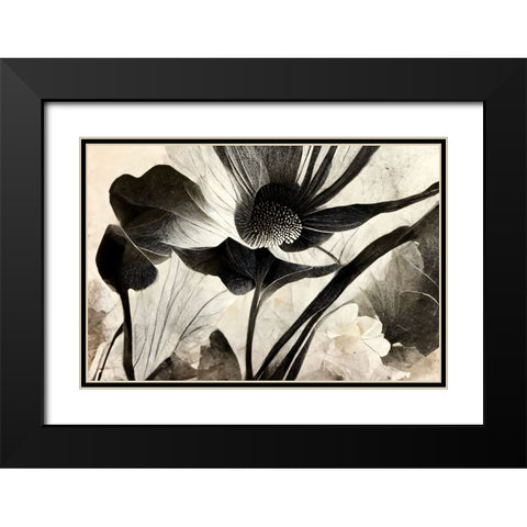 B067 Flowers Black White Black Modern Wood Framed Art Print with Double Matting by Heere, Ray