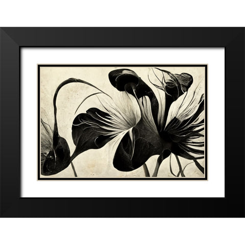 B068 Flowers Black White Black Modern Wood Framed Art Print with Double Matting by Heere, Ray