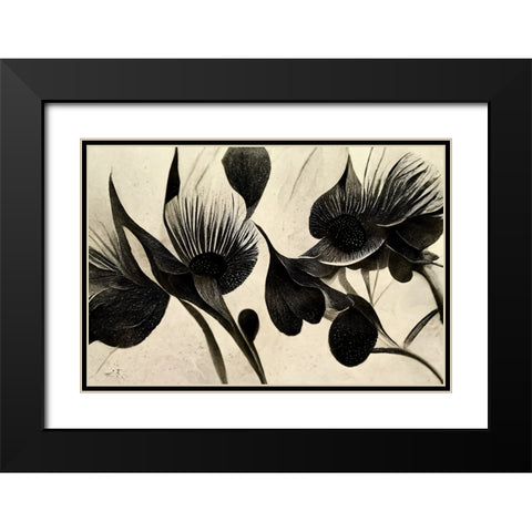 B069 Flowers Black White Black Modern Wood Framed Art Print with Double Matting by Heere, Ray