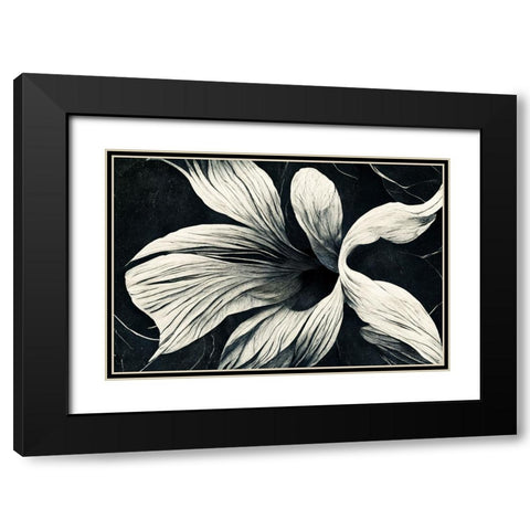 B070 Flowers Black White Black Modern Wood Framed Art Print with Double Matting by Heere, Ray