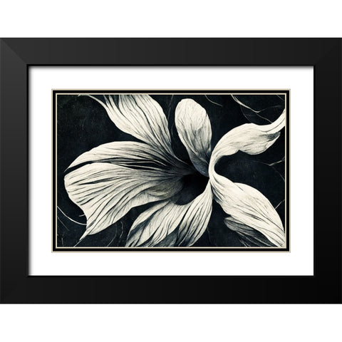 B070 Flowers Black White Black Modern Wood Framed Art Print with Double Matting by Heere, Ray