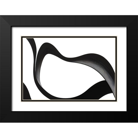 Black White Bold Strokes 3 Black Modern Wood Framed Art Print with Double Matting by Heere, Ray