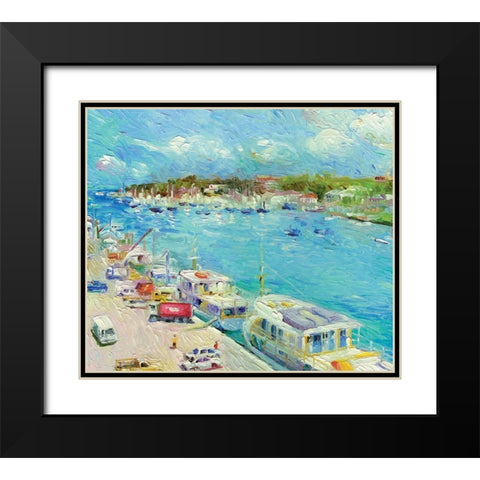Bahamas Black Modern Wood Framed Art Print with Double Matting by Wallich, Richard