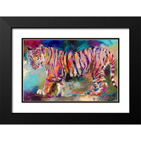 Bengal Tiger Black Modern Wood Framed Art Print with Double Matting by Wallich, Richard