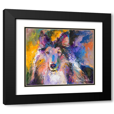 Collie Black Modern Wood Framed Art Print with Double Matting by Wallich, Richard