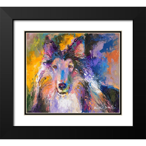 Collie Black Modern Wood Framed Art Print with Double Matting by Wallich, Richard