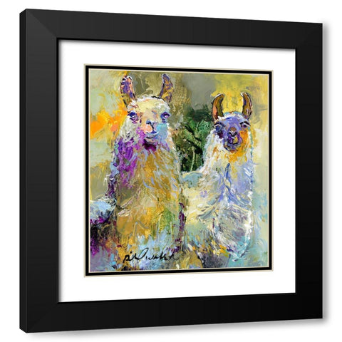 Llamas Black Modern Wood Framed Art Print with Double Matting by Wallich, Richard