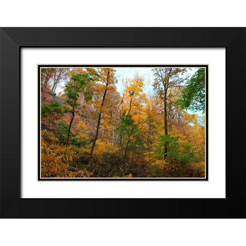Inwood Manhattan Autumn Black Modern Wood Framed Art Print with Double Matting by Goldwitz, Robert