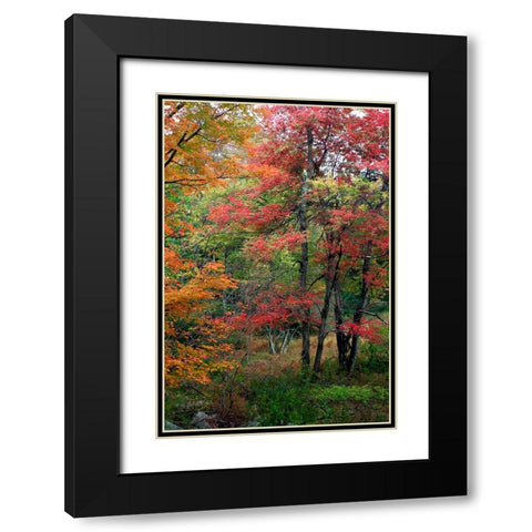 Minnewaskas Vertical 2010 Black Modern Wood Framed Art Print with Double Matting by Goldwitz, Robert