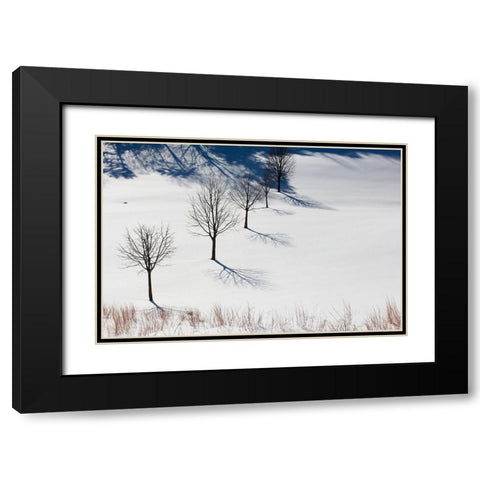 Winter Field Silhouettes Black Modern Wood Framed Art Print with Double Matting by Goldwitz, Robert