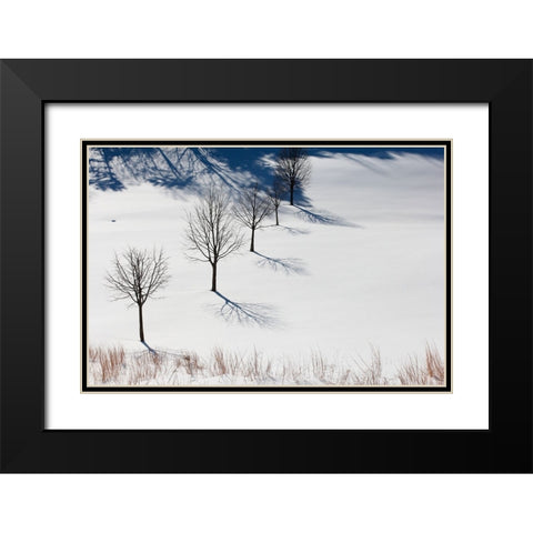 Winter Field Silhouettes Black Modern Wood Framed Art Print with Double Matting by Goldwitz, Robert