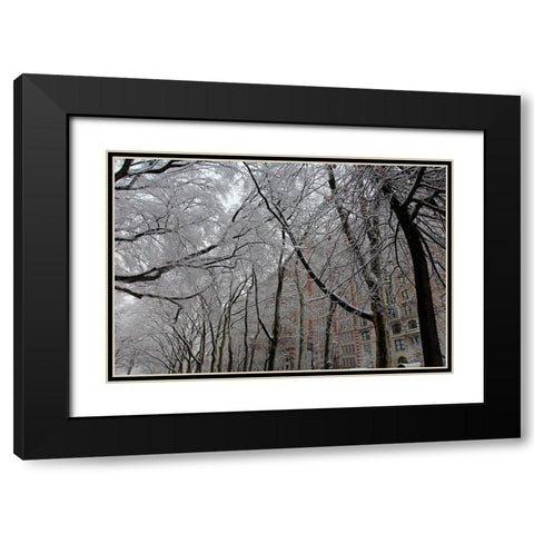 Snow Covered Trees Apartments Black Modern Wood Framed Art Print with Double Matting by Goldwitz, Robert