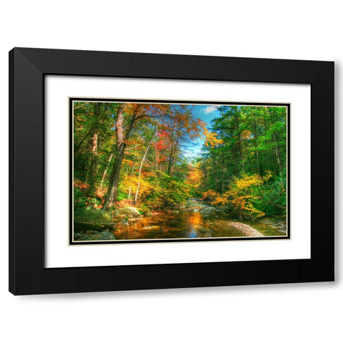 Autumn Brook Black Modern Wood Framed Art Print with Double Matting by Goldwitz, Robert