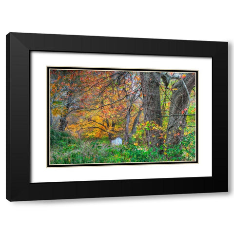 Autumn Shed Black Modern Wood Framed Art Print with Double Matting by Goldwitz, Robert