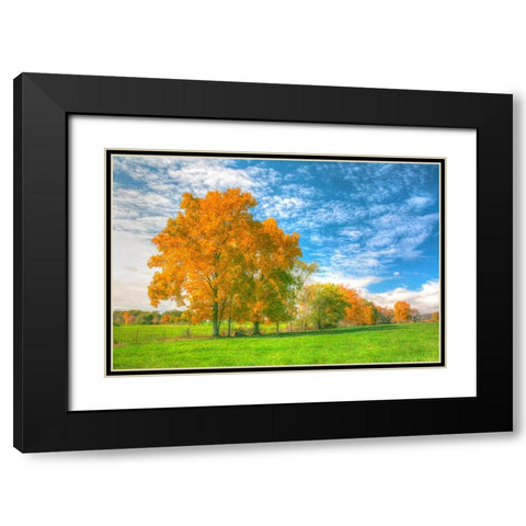 Autumn Tree Line Black Modern Wood Framed Art Print with Double Matting by Goldwitz, Robert