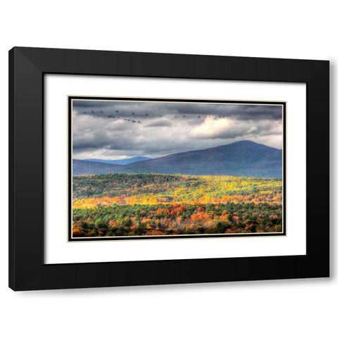 Flying South Black Modern Wood Framed Art Print with Double Matting by Goldwitz, Robert