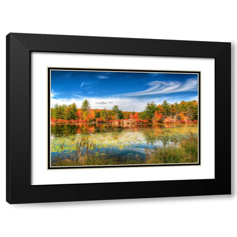 Harriman Pond Black Modern Wood Framed Art Print with Double Matting by Goldwitz, Robert
