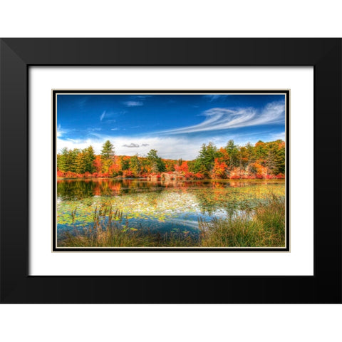 Harriman Pond Black Modern Wood Framed Art Print with Double Matting by Goldwitz, Robert