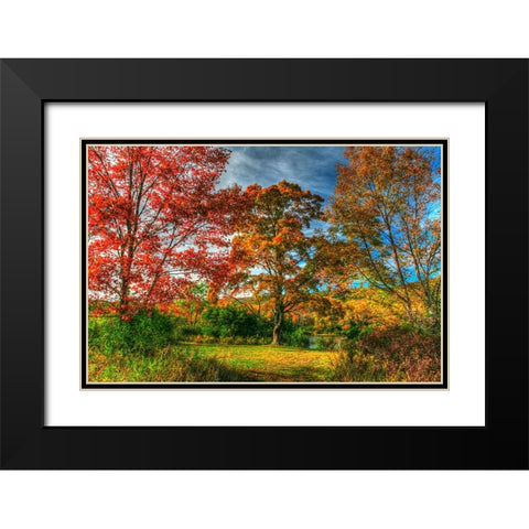 Tillson Lake Trees Black Modern Wood Framed Art Print with Double Matting by Goldwitz, Robert