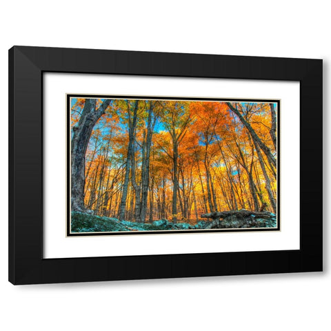 Winding Hills Park Black Modern Wood Framed Art Print with Double Matting by Goldwitz, Robert