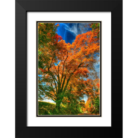 Autumn Borden Road Vertical Black Modern Wood Framed Art Print with Double Matting by Goldwitz, Robert