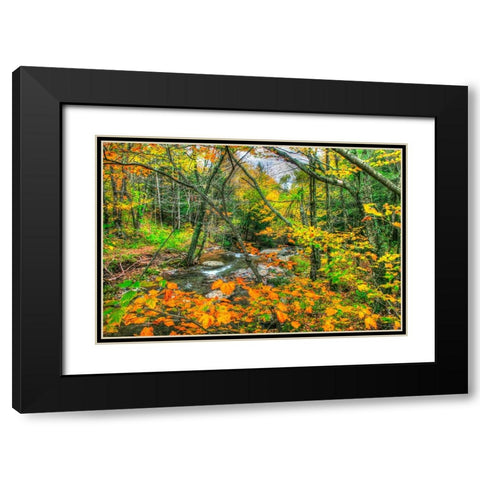 Fall Brook Orange Fo Black Modern Wood Framed Art Print with Double Matting by Goldwitz, Robert