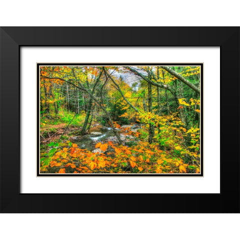 Fall Brook Orange Fo Black Modern Wood Framed Art Print with Double Matting by Goldwitz, Robert