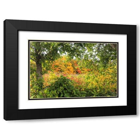 Autumn Colors Black Modern Wood Framed Art Print with Double Matting by Goldwitz, Robert