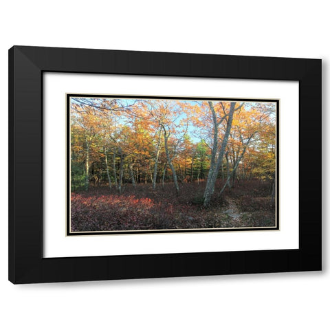 Late afternoon on the Ridge Black Modern Wood Framed Art Print with Double Matting by Goldwitz, Robert