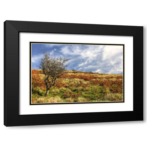 Wales Hillside and Sky Black Modern Wood Framed Art Print with Double Matting by Goldwitz, Robert