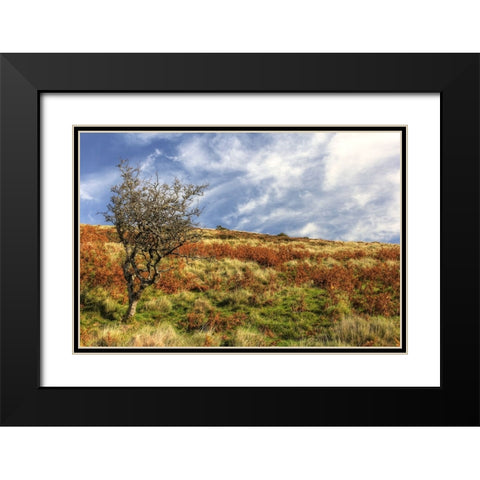 Wales Hillside and Sky Black Modern Wood Framed Art Print with Double Matting by Goldwitz, Robert