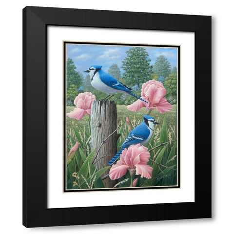 Blue Jays Black Modern Wood Framed Art Print with Double Matting by Wavra, Robert