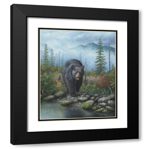Smoky Mountain Black Bear Black Modern Wood Framed Art Print with Double Matting by Wavra, Robert
