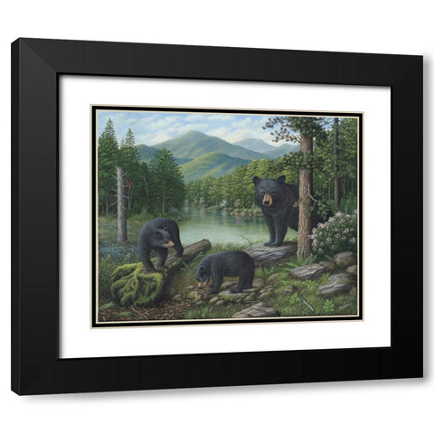 Watching The Cubs Play Black Modern Wood Framed Art Print with Double Matting by Wavra, Robert