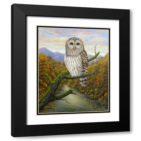 Barred Owl Black Modern Wood Framed Art Print with Double Matting by Wavra, Robert
