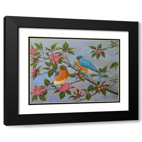 Bluebirds Black Modern Wood Framed Art Print with Double Matting by Wavra, Robert