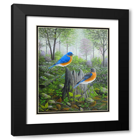 Spring Bluebirds Black Modern Wood Framed Art Print with Double Matting by Wavra, Robert