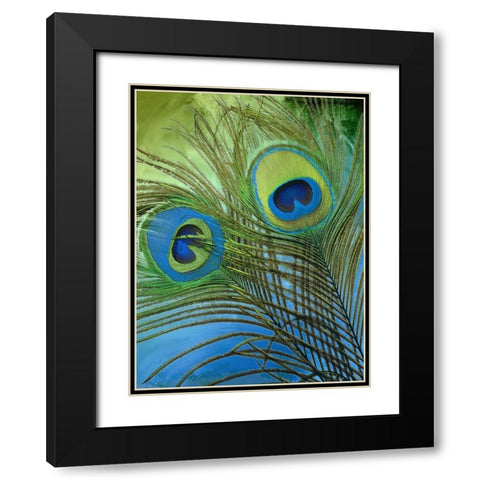 Peacock Candy I Black Modern Wood Framed Art Print with Double Matting by Sasha