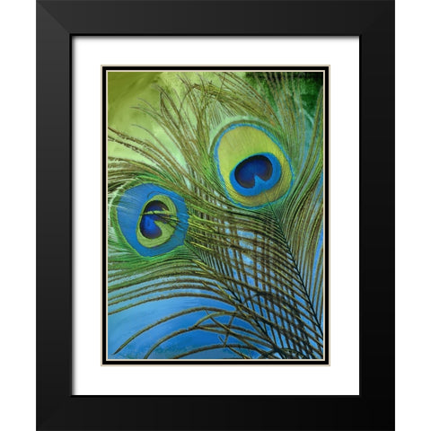 Peacock Candy I Black Modern Wood Framed Art Print with Double Matting by Sasha